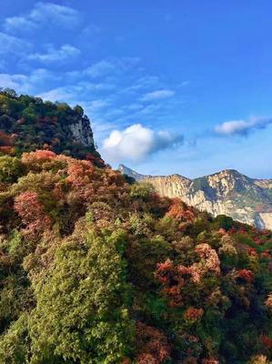 隱藏在華山旁的&ldquo;陜西九寨溝&rdquo;!卻比華山更秀美、更幽靜!