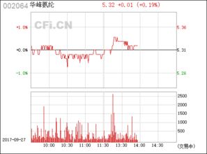 華峰氨綸（002064） 中國(guó)氨綸行業(yè)的領(lǐng)軍企業(yè)